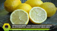 Inilah 6 Manfaat Buah Lemon Bagi Tubuh Anda