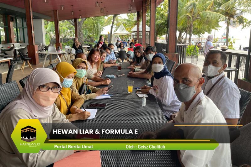 Hewan Liar & Formula E