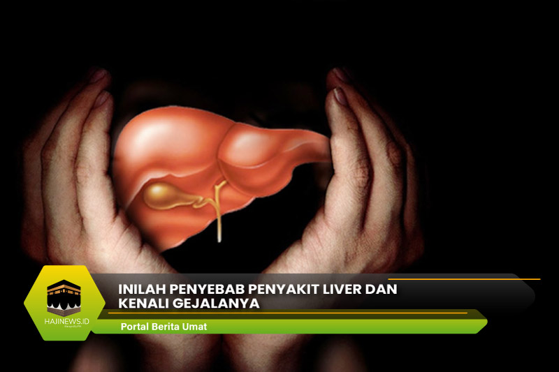 Penyebab Penyakit Liver