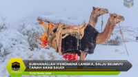 Salju Selimuti Tanah Arab Saudi