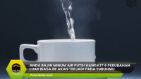 Anda Rajin Minum Air Putih Hangat?