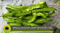 Rajin Makan Sayur Kecipir