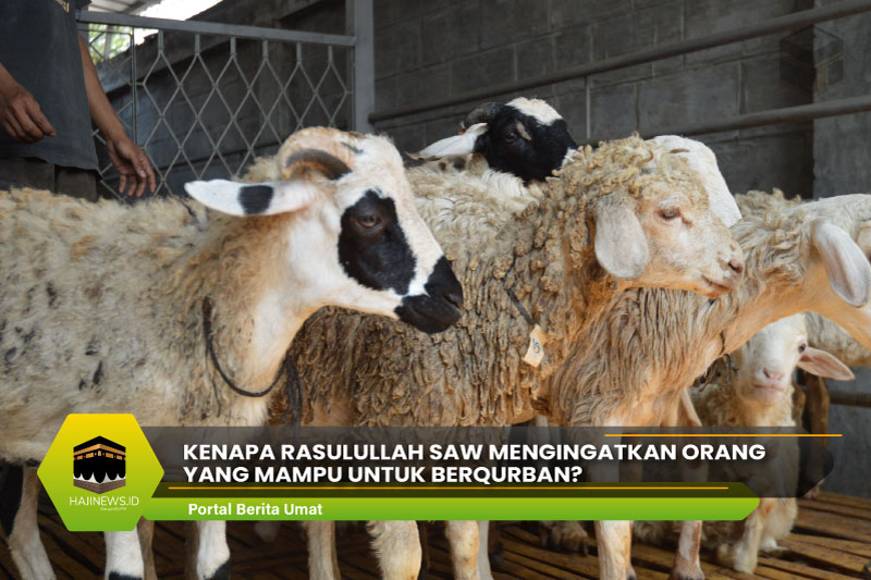 Rasulullah SAW Mengingatkan Orang yang Mampu untuk Berqurban