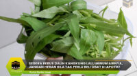 Rebus Daun Kangkung