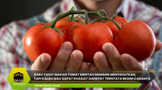 Makan Tomat Mentah Menyehatkan