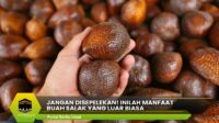 Manfaat Buah Salak