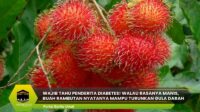 Buah Rambutan