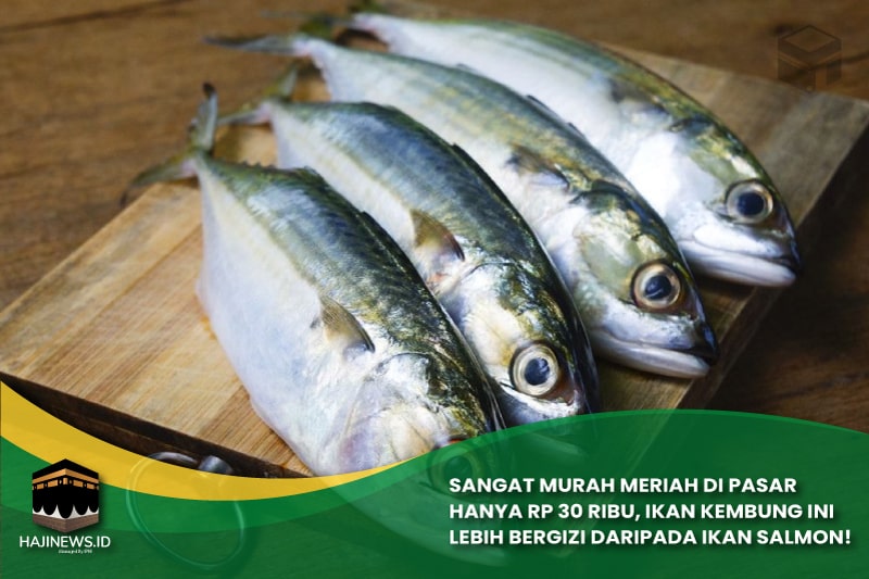 Ikan Kembung