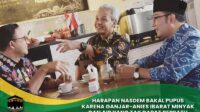 Harapan NasDem