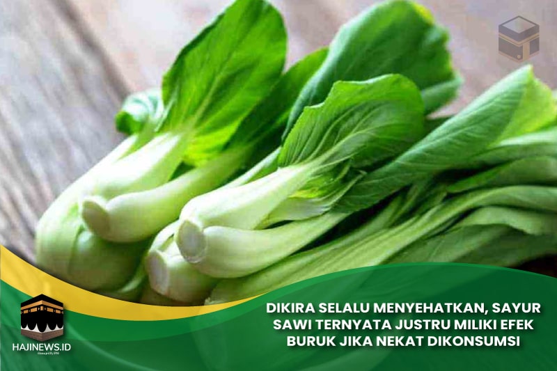 Sayur Sawi