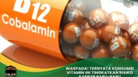 Konsumsi Vitamin B12