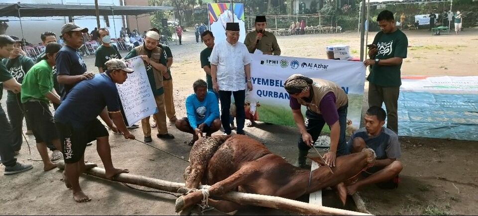 IPHI DIY Laksanakan Penyembelihan Hewan Kurban