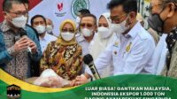 Indonesia Ekspor 1.000 Ton Daging Ayam Beku