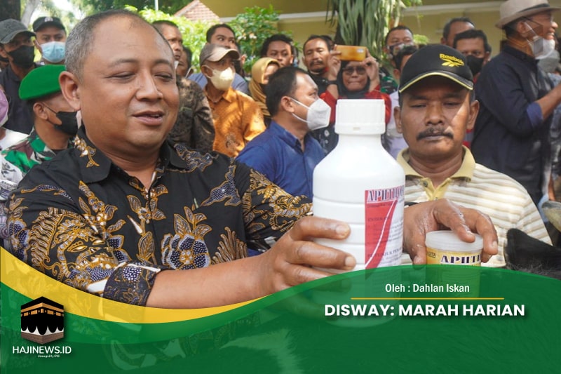 Disway: Marah Harian