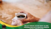 Terapi Asam Urat Alami