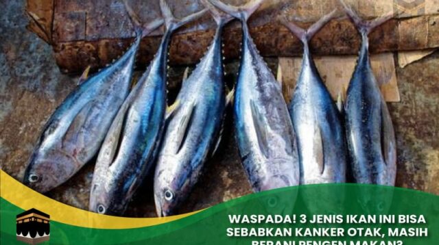 Jenis Ikan Ini Bisa Sebabkan Kanker Otak