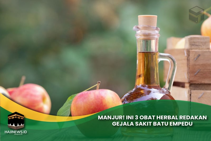 Obat Herbal Sakit Batu Empedu