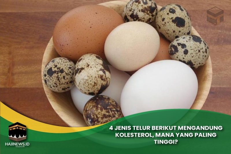 Telur Mengandung Kolesterol