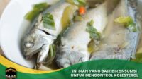 Ikan untuk Mengontrol Kolesterol