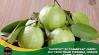 Manfaat Jambu Biji