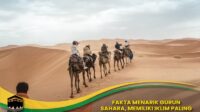 Fakta Menarik Gurun Sahara