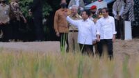 Jokowi Mengalami Fase Kecemasan Tertinggi