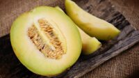 Manfaat Melon Kaya Vitamin