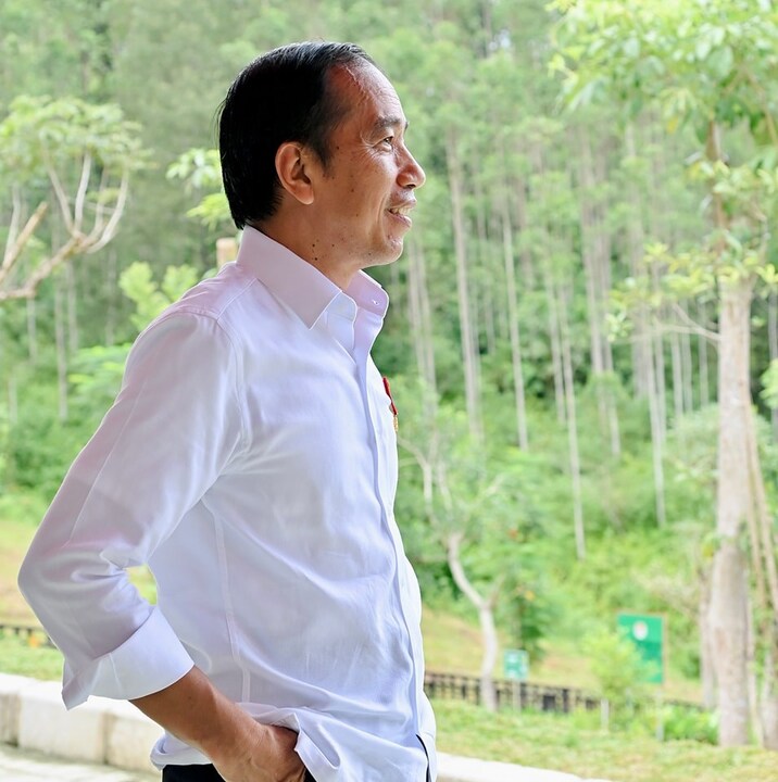 Jokowi Itu Raja di Negara Demokrasi