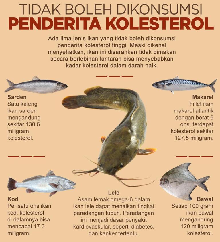 Ikan Yang Tidak Boleh Dimakan Oleh Penderita Kolesterol