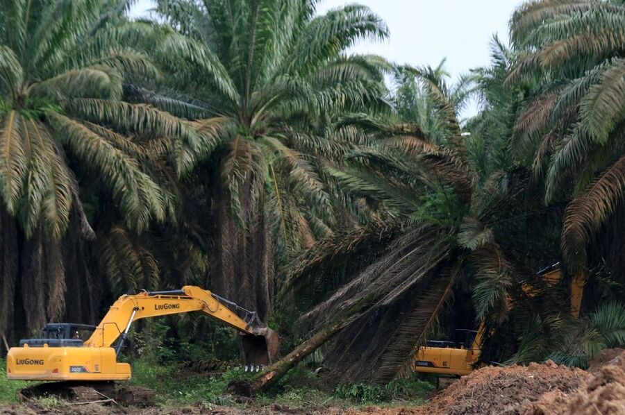 Capres dan Tanah Untuk Rakyat