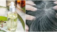 Manfaat Minyak Kayu Putih untuk Rambut