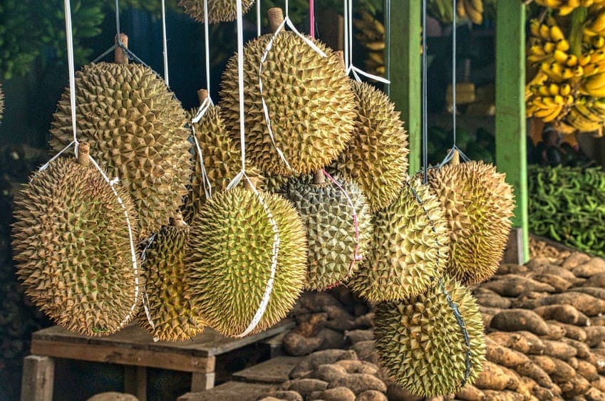 konsumsi durian