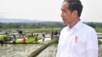 Jokowi Panik