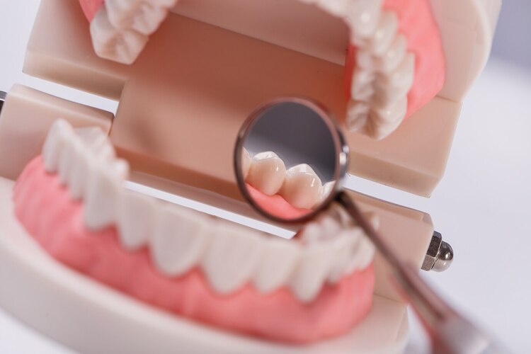 Ilmuwan Menemukan Obat Menumbuhkan Gigi