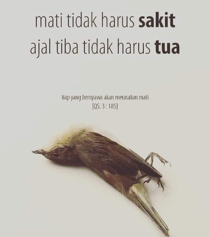 Mengapa Takut Mati?